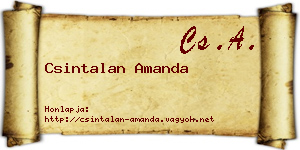 Csintalan Amanda névjegykártya